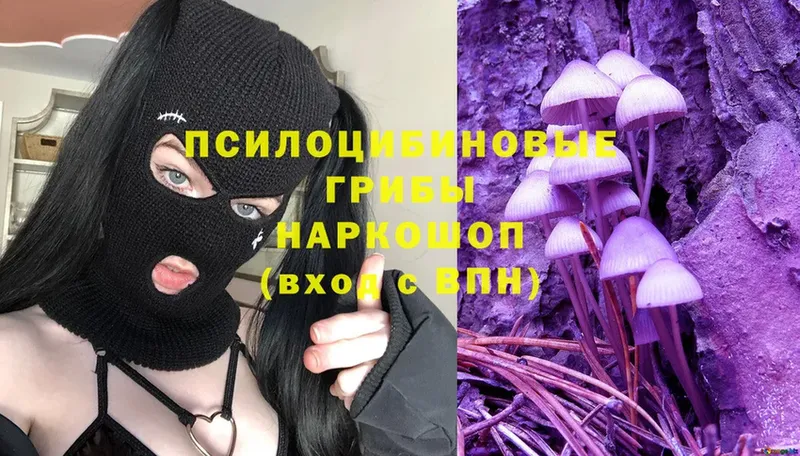 Галлюциногенные грибы Psilocybe  Бирск 